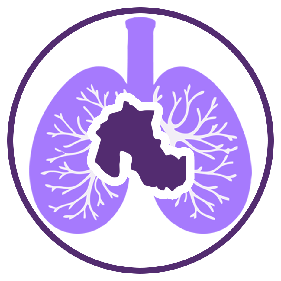 Sistema Provincial de Asma
